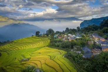 Dự án TTX 01